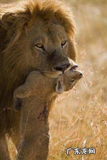 母系社会存在,母系氏族存在过