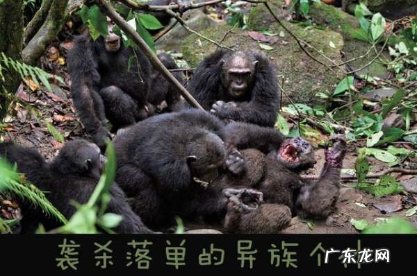 母系社会存在,母系氏族存在过