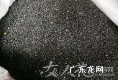 芝麻长得什么样,芝麻长什么样子