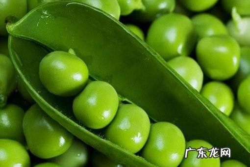 荷兰豆在中国叫什么豆,荷兰豆在东北叫什么