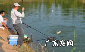 秋天钓青鱼用什么饵料,钓青鱼用什么饵料最好