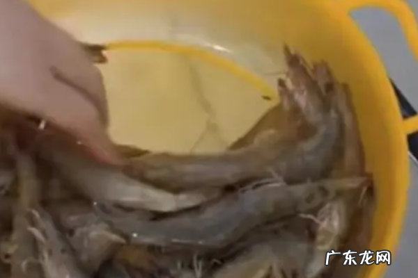 工厂是怎么样剥虾仁的,小虾仁怎么剥出来