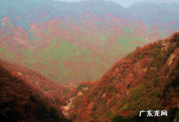 已流拍是什么意思,已流拍无人出价是什么意思