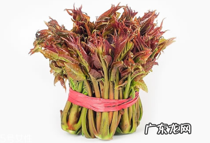 香椿芽如何长期保存,香椿芽如何长期保存冬天吃还绿