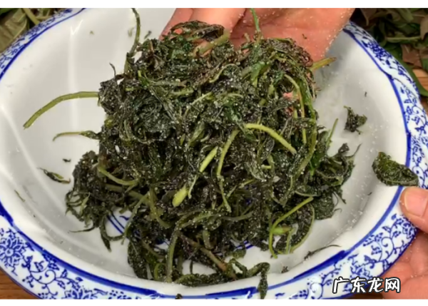 怎么保管一年四季有新鲜香椿,香椿的保存方法一年四季都可以吃到