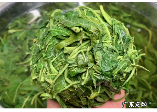 怎么保管一年四季有新鲜香椿,香椿的保存方法一年四季都可以吃到