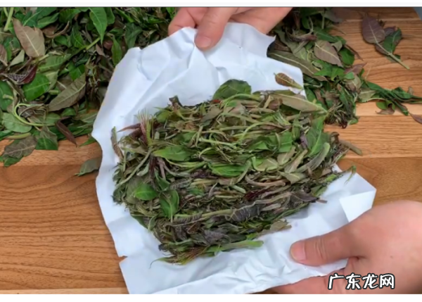 怎么保管一年四季有新鲜香椿,香椿的保存方法一年四季都可以吃到