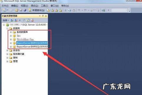 如何删除数据库,自动更新数据库文件可以删除