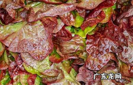 男生吃醋什么意思,男人特别容易吃醋是什么心理