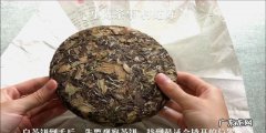 茶饼怎么保存,茶饼怎么存放比较好