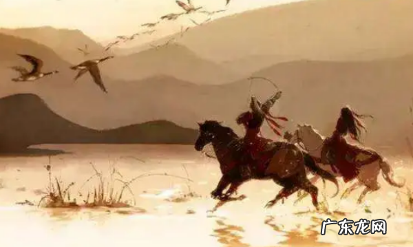 黄是指什么动物,黄色的动物