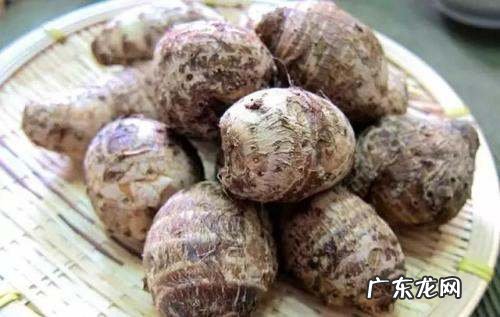 芋艿和芋头有什么区别,芋艿和芋头是一样