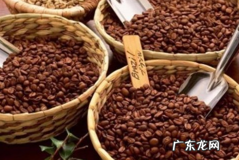 咖啡故乡是哪个大洲我国最大的海,咖啡的故乡是哪里 a亚洲 b美洲 c大洋洲 d非洲