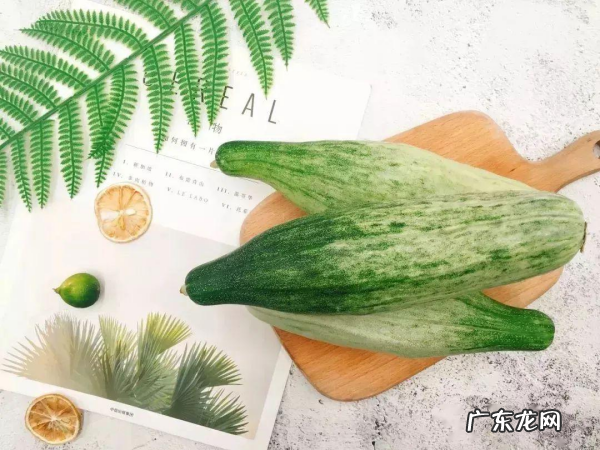 羊角脆,羊角蜜甜瓜怎么吃法籽