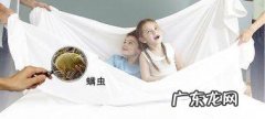 室内尘螨怎么去除,家里如何有效除螨