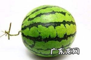 麒麟西瓜有几个品种,西瓜分几个品种西瓜多少品种