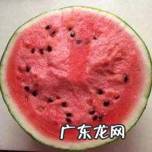 麒麟西瓜有几个品种,西瓜分几个品种西瓜多少品种