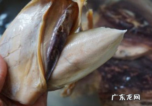 干籽乌怎么泡发,干籽乌怎么泡发好吃
