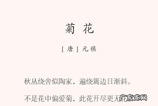 菊花的诗句 菊花的诗句推荐,描写菊花的词语和诗句