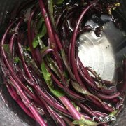 为什么炒的红油菜是苦的,我炒的红油菜怎么是苦的