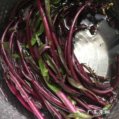 为什么炒的红油菜是苦的,我炒的红油菜怎么是苦的