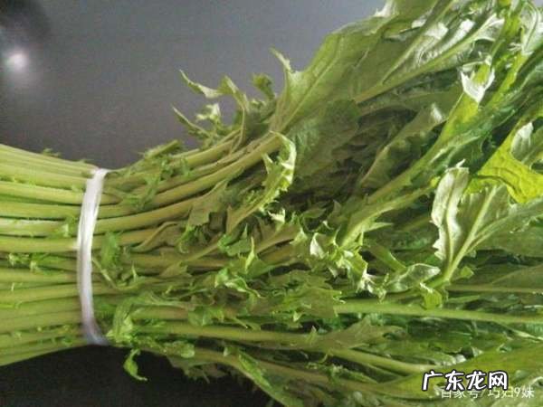 为什么炒的红油菜是苦的,我炒的红油菜怎么是苦的