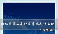 为什么人死了要说rip,为什么人死了要说老了
