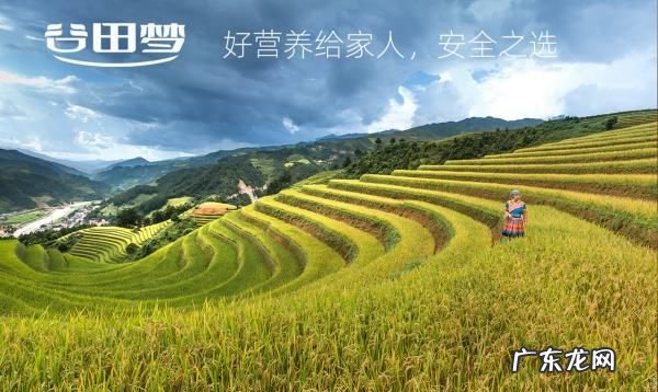 粗粮有哪些 粗粮有营养,粗粮的营养价值是什么