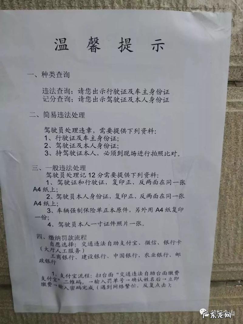 处理违章需要什么证件,窗口处理交通违章需要带哪些证件