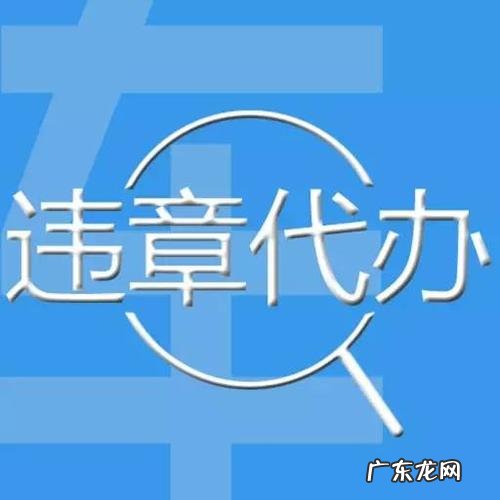 处理违章需要什么证件,窗口处理交通违章需要带哪些证件