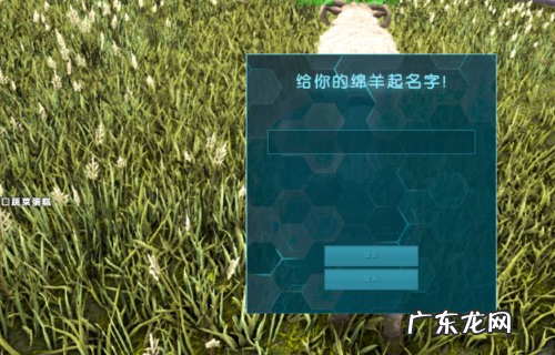 羊是怎么驯化的,鲁滨逊在荒岛上驯养山羊的过程是什么