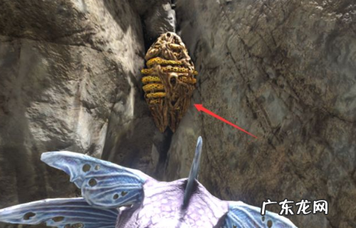羊是怎么驯化的,鲁滨逊在荒岛上驯养山羊的过程是什么