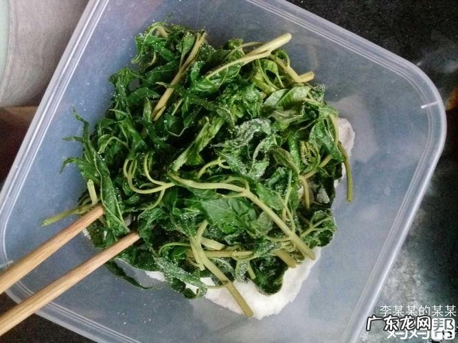 腌好的香椿芽怎么吃,腌制的香椿芽怎么吃怎么食用