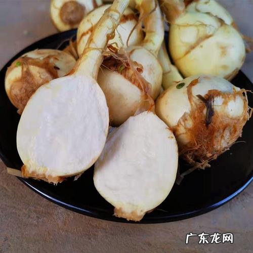 生马蹄怎么存放,马蹄怎么保存才不会坏掉