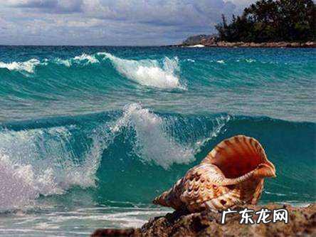 海螺为什么可以听到海的声音,为什么海螺里面能听到声音