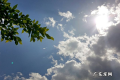 天上的云会掉落,云的重量将近00万斤英文