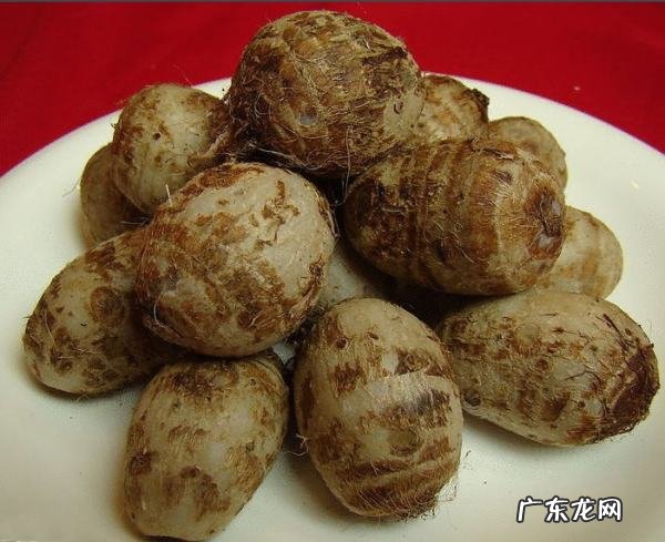 芋头放水里会发芽,芋头怎么水培发芽