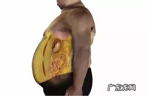 内脏脂肪率怎么测量,身体功能指标有哪些