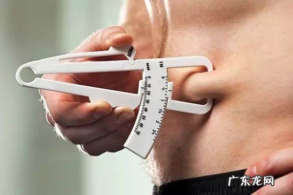 内脏脂肪率怎么测量,身体功能指标有哪些