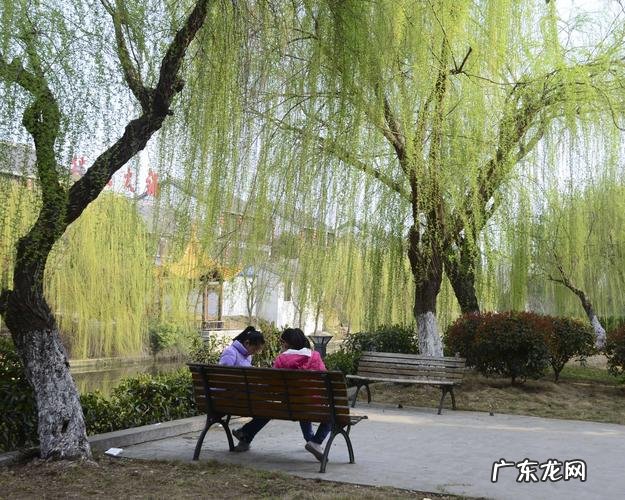 拂堤杨柳醉春烟的醉什么意思,醉春烟的醉指的是什么意思