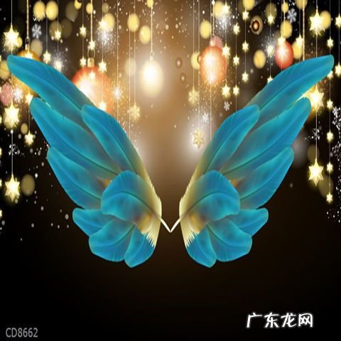 快手翅膀特效怎么弄的,快手上的特效怎么