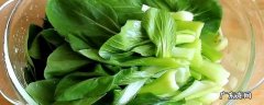 油菜为什么发苦,油菜吃着为什么有点苦