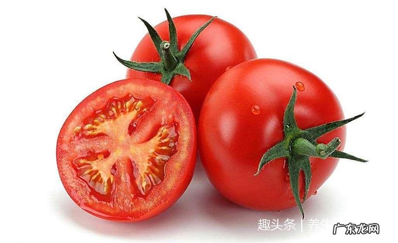 西红柿和番茄怎么区分,番茄和西红柿有什么区别