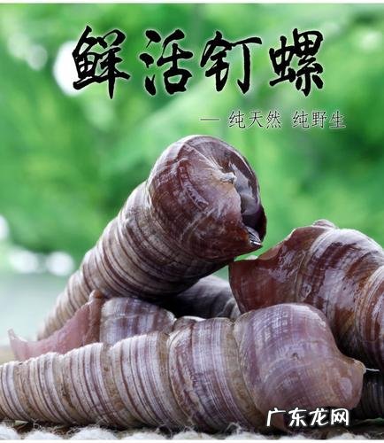 海里的钉螺叫什么,海钉螺脏