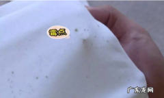 衣服上的黑点怎么来的,衣服背后有黑点点为什么 衣服背后有黑点点的原因是什么