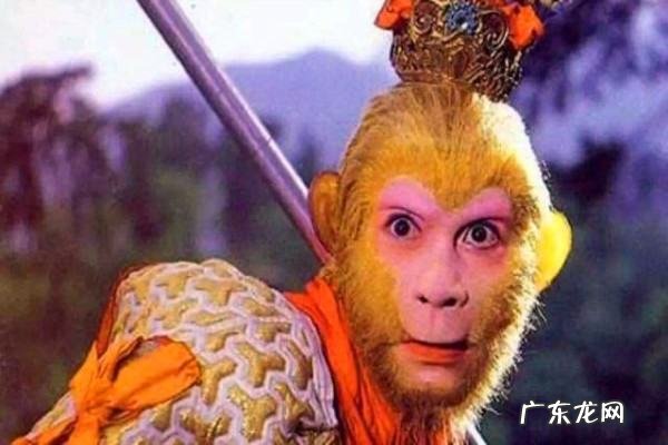 孙悟空的前身是什么,孙悟空前世身份是什么
