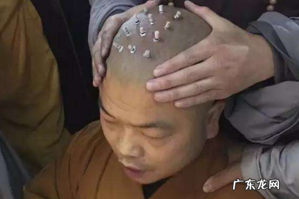 为什么和尚的头上有几个点,一下语文部编版电子书