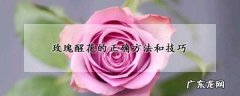 鲜切花玫瑰花醒花怎么醒,玫瑰醒花的正确方法和技巧