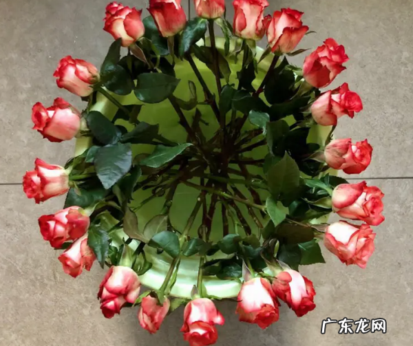 鲜切花玫瑰花醒花怎么醒,玫瑰醒花的正确方法和技巧