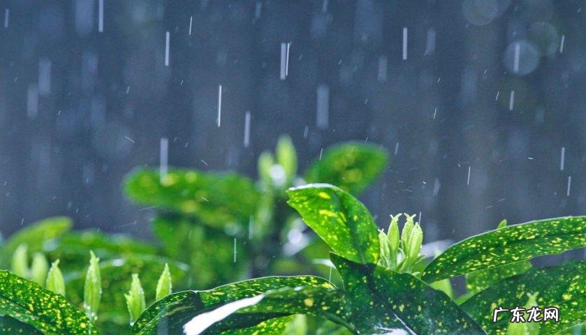 早晨下雨当日晴的意思是什么,早晨下雨当日晴晚上下雨到天明